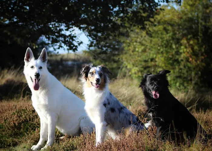 Appartamento Ententeich Fehmarn